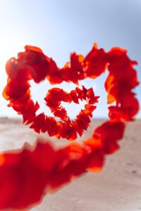 Red heart made of rose petals